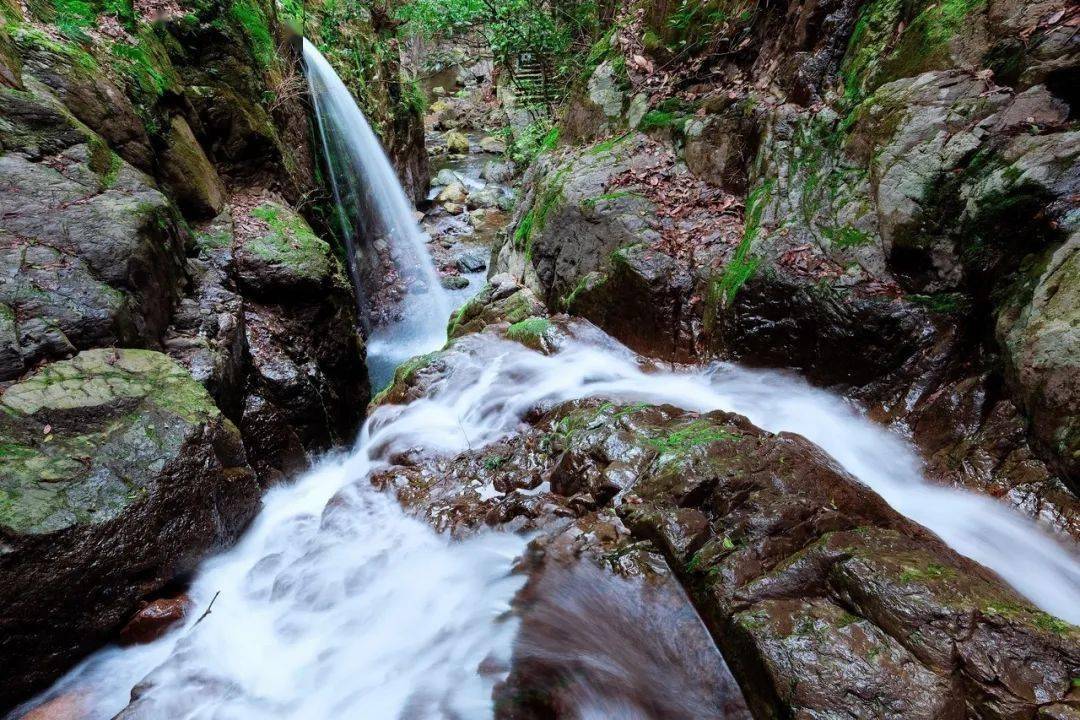 奔腾踊跃的山涧泉水 流经巨石密林 形成一幅幅山水画卷