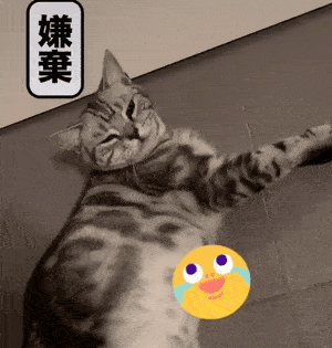 我被邻居家的猫偷窥了!