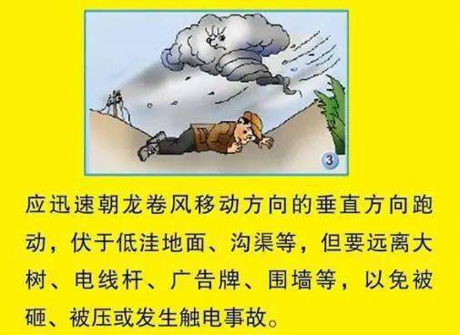 0aa9aa34a7b94d77a79782fd4a927071.jpeg