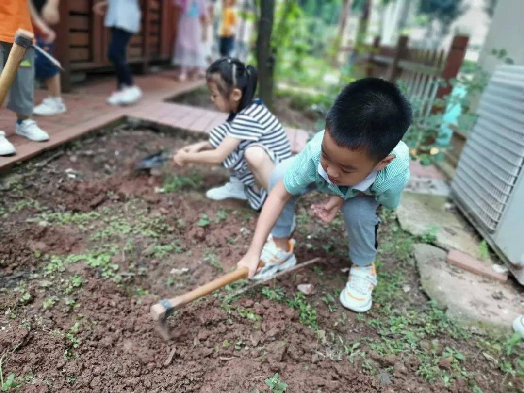 上朗·中昂锦绣幼儿园户外种植活动播种绿色 呵护成长