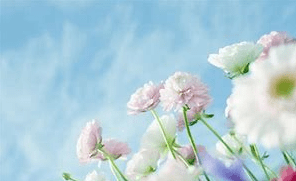 827d4842777a4a858dcb3b02d6847370.png