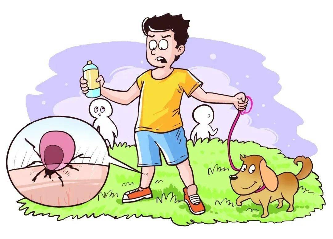 夏日隐形杀手"蜱虫"开始活跃,这些防护措施要牢记!