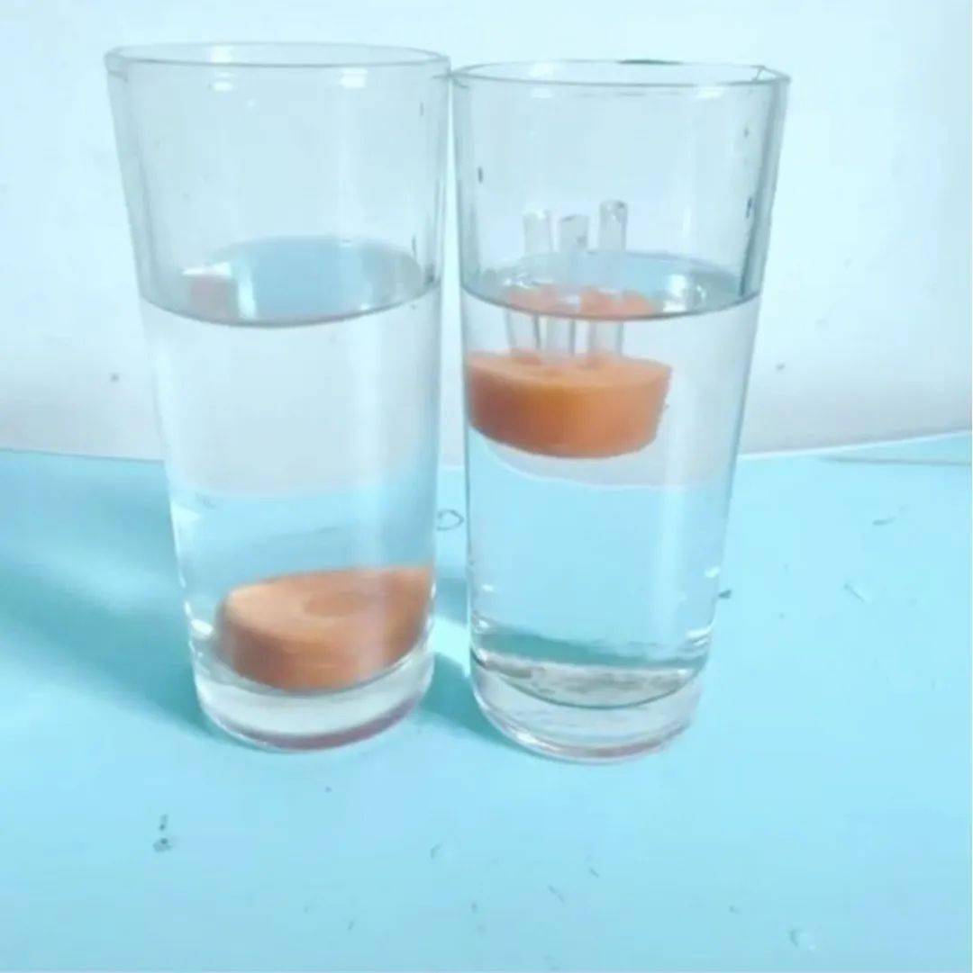 f28fc90f3dbb41d6878aae7605df37f5.jpeg