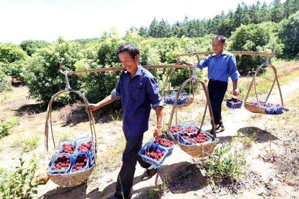 抚州市东乡区瑶圩乡gdp_抚州市东乡区第一中学