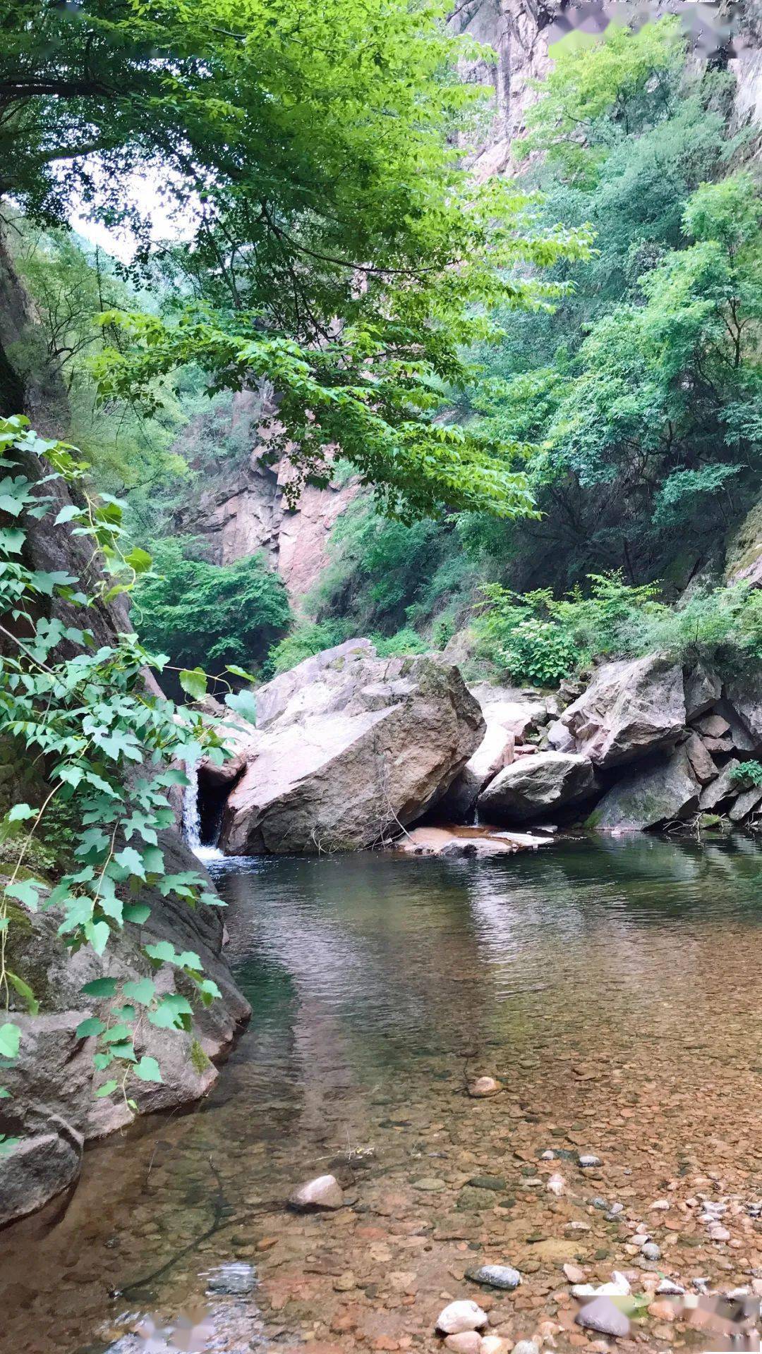 【音乐旅途】藏在深山的"小家碧玉"仙龙峡,主播李曼带