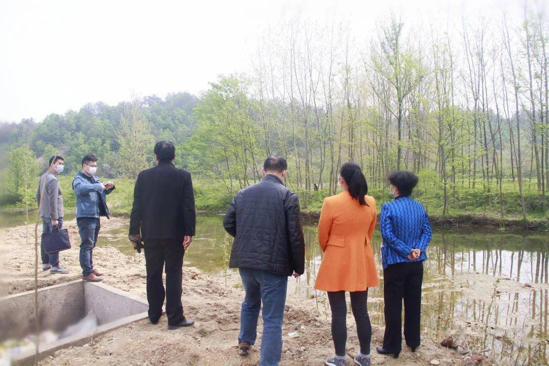 现场时,湖北随县均川镇新河村养殖场已经停止向杨树河排放养殖污水