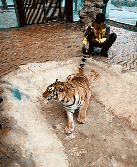 贵阳野生动物园被曝