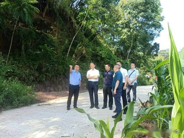 屏山镇 acf5b8dc4e31420cbae4f7d749744036.jpeg