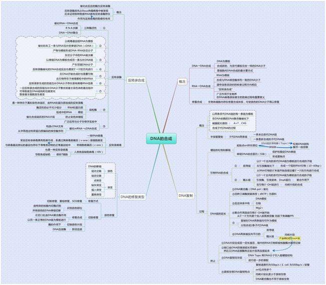 生物化学思维导图