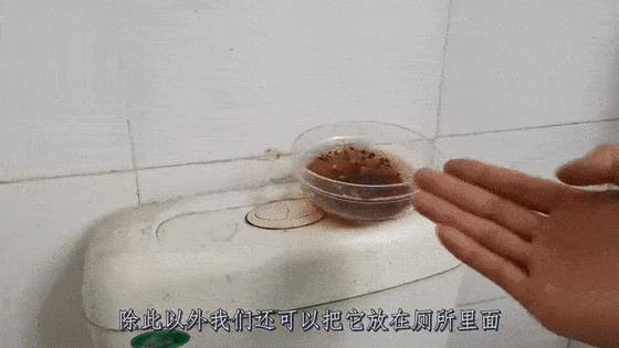 在床底放一把花椒真是厉害了