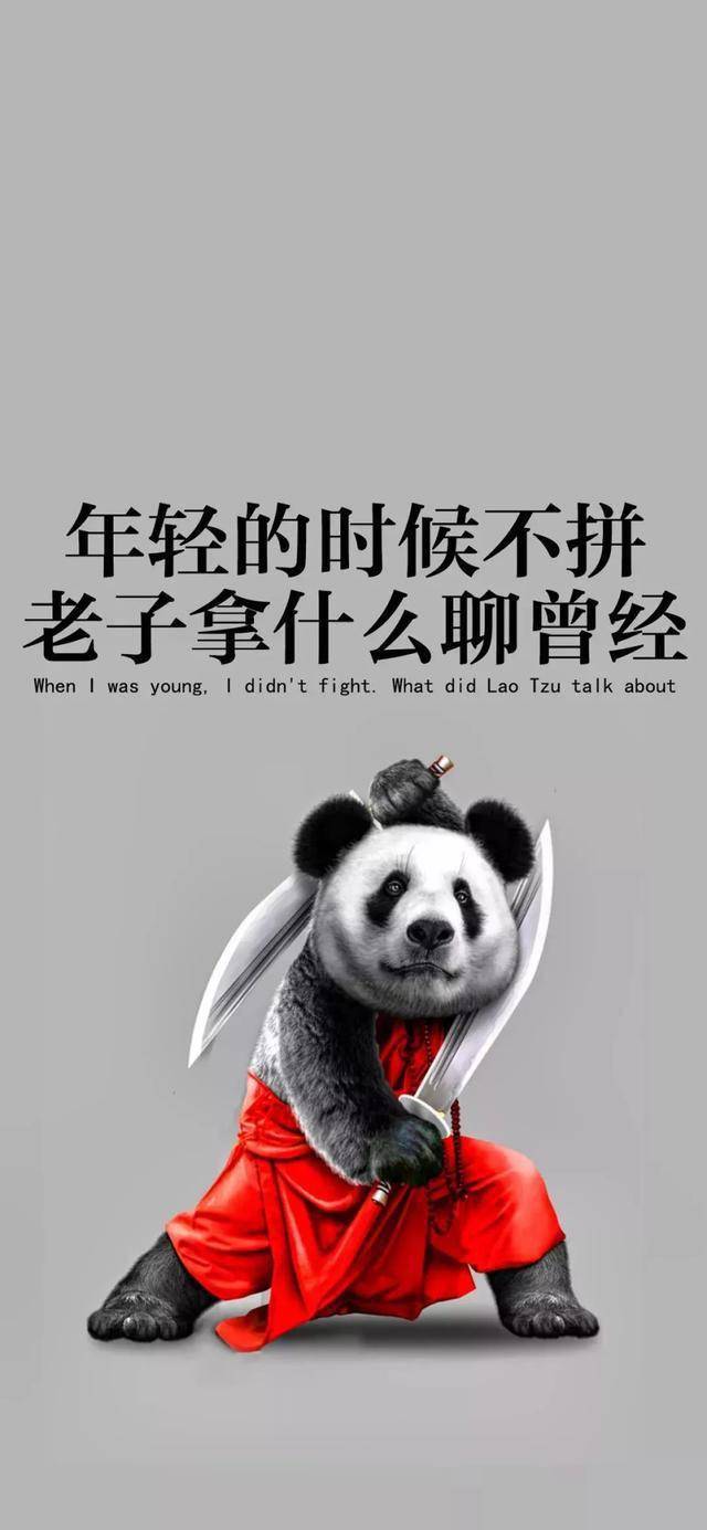 有没有好看的手机壁纸可推荐 b896bd7209b14b3bbf47252b4b647d33.jpeg