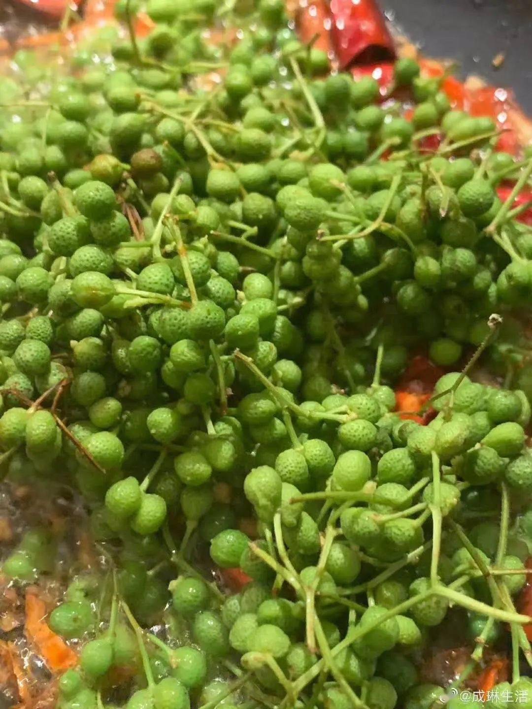 山椒是什么 f082304fa84449b4b57d95fde91bd921.jpeg