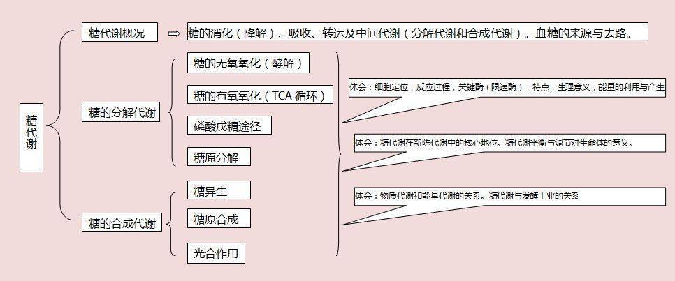 生物化学思维导图