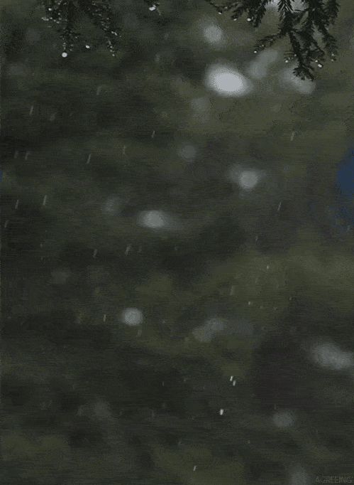 499_682 竖版 竖屏