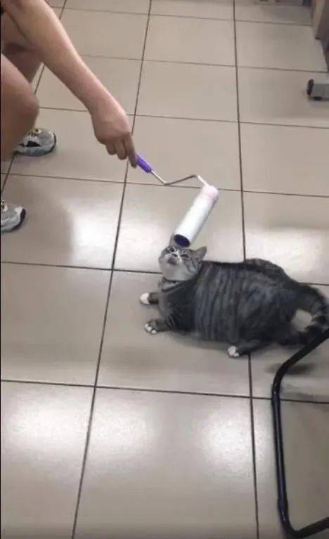 ab9b8cc4e38b48c68665eb619c15788d.jpeg