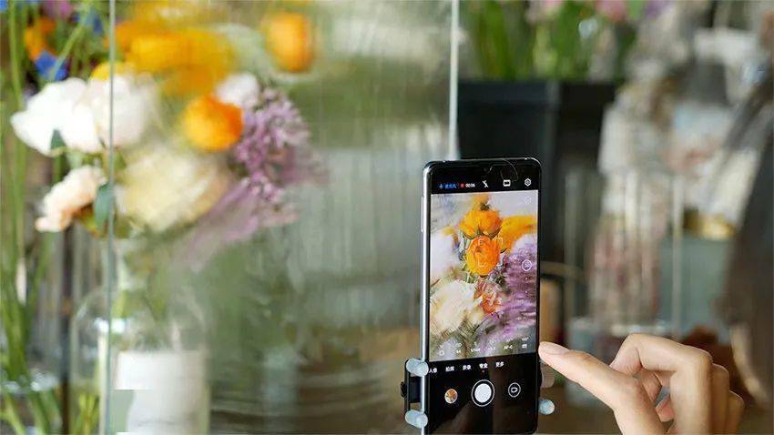 手机拍照怎么拍花 03086641ab0d4bdf9c84be0090ff6d7d.jpeg