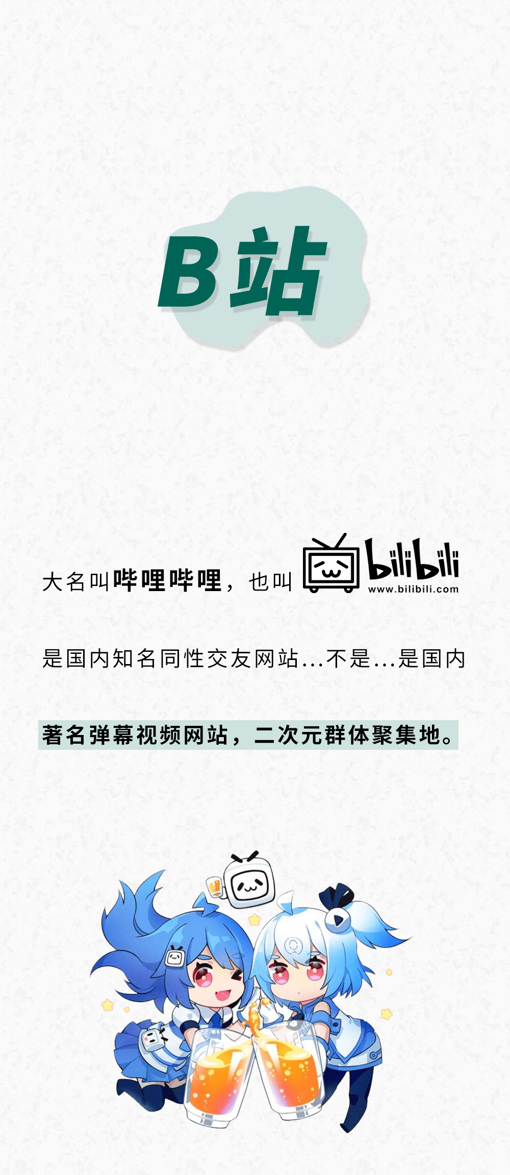 a站,b站,c站,h站……p站都是什么网站啊?