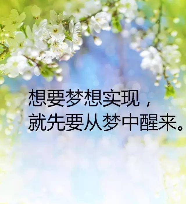 赚钱的路上很难 175e8e7f242243a9a9bb89c91c40f66d.jpeg