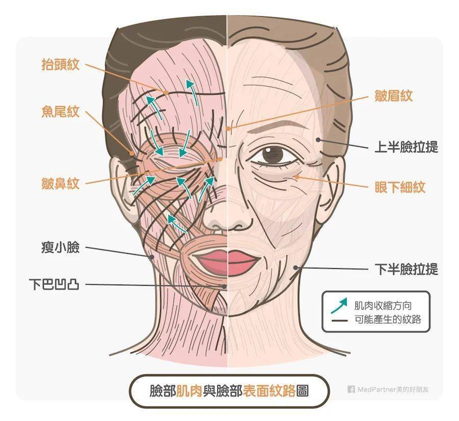 兴风作浪的姑奶奶来了据说女明星暗搓搓在这里较劲
