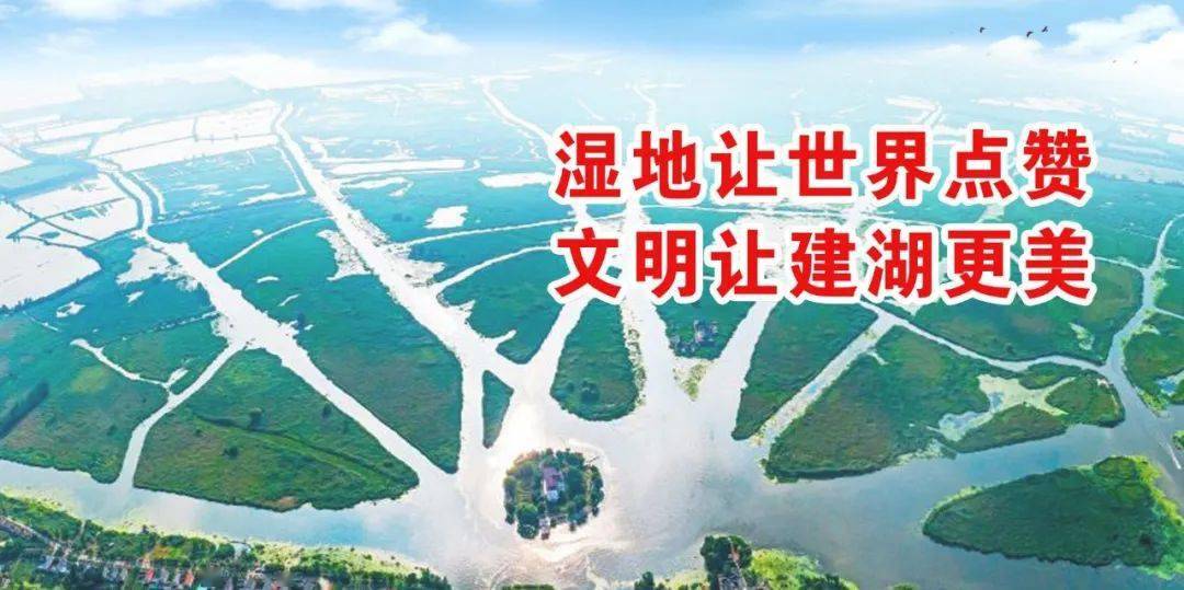 建湖县恒济镇gdp_江苏建湖新型农村社区 岸绿水清环境好 农民安居又乐业(3)