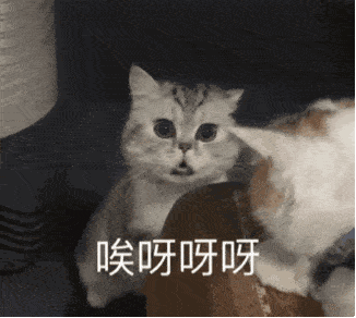 表情包杂集 || 猛狗哭泣_头像