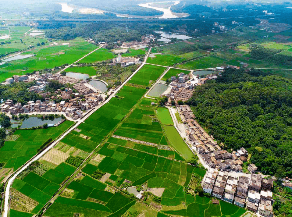 增城区城区人口_株洲城区人口分布图(2)