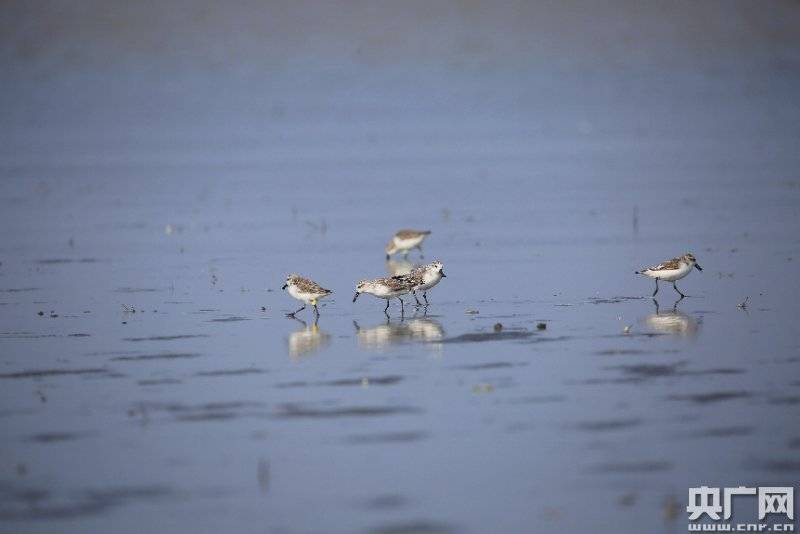 活动|广东启动第二届穿越北回归线风景带活动