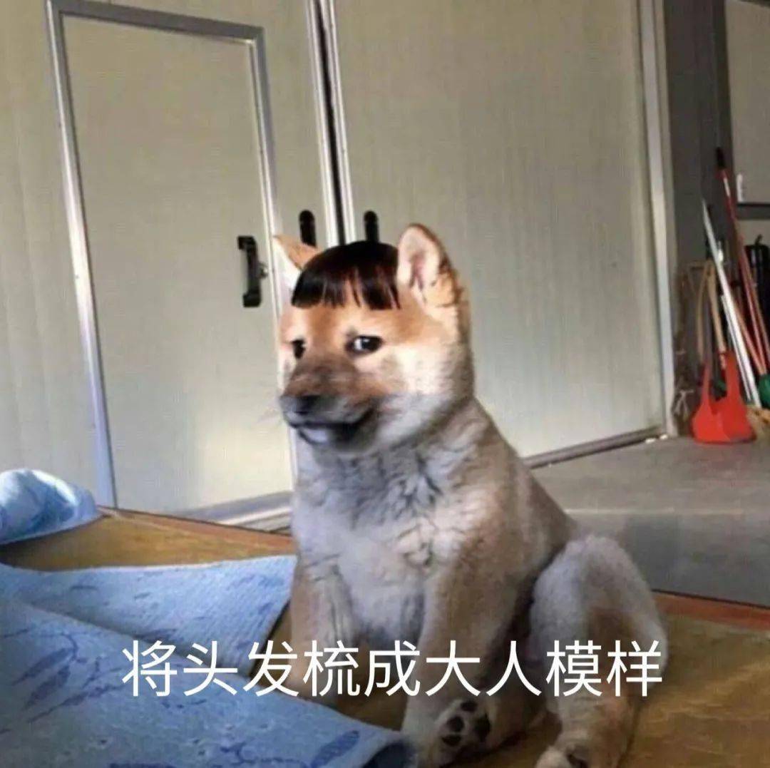 表情包杂集 || 猛狗哭泣