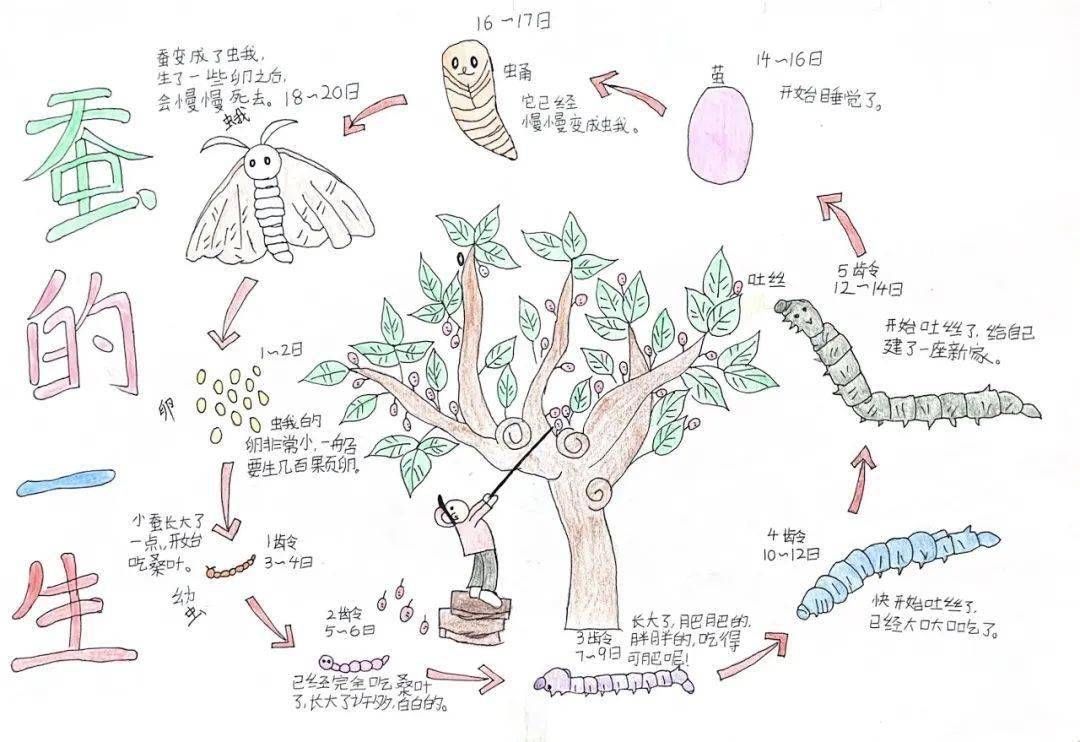 幼儿教案范文_幼儿教案范文_幼儿教案范文小班