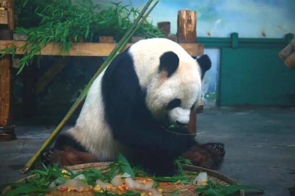 无锡|“缘大”回川，等你回来！