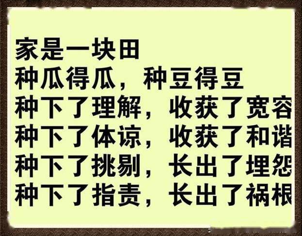 有家可归有人可伴 015c33b4908d4ac9ba191b351a98a2fb.jpeg
