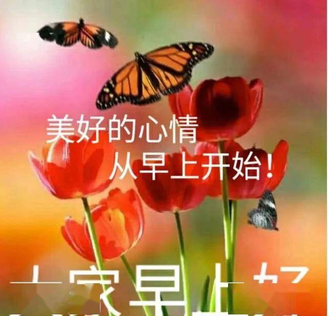 怎样开心快乐过好每一天 6ab1d34793884b87a56ddd8132c8d3e5.jpeg
