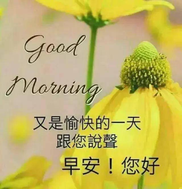 9646f56f813c49b0b19a27f90426ed2e.jpeg