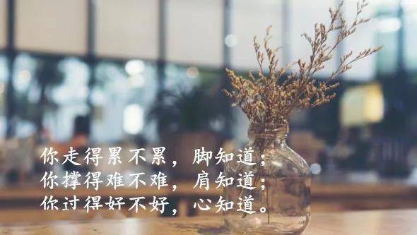 人怎么才能开心的活着 c8e5f06c0d5241a4b81f9e28686e5614.jpeg