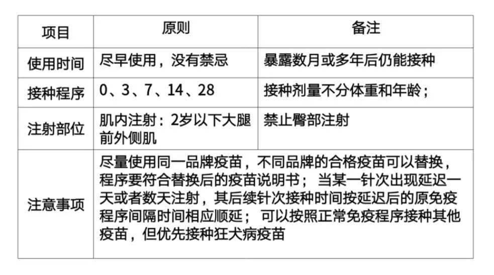 科普┃狂犬疫苗的预防接种