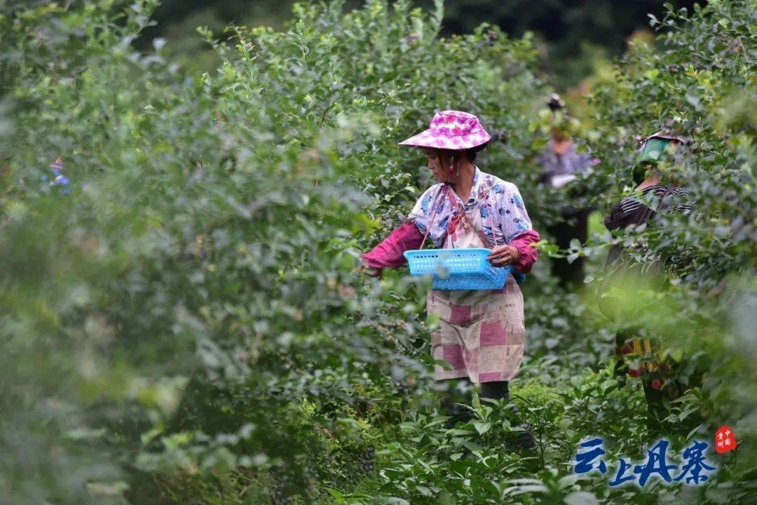 沭阳县潼阳经济总量排几位_沭阳县潼阳中学图片(3)