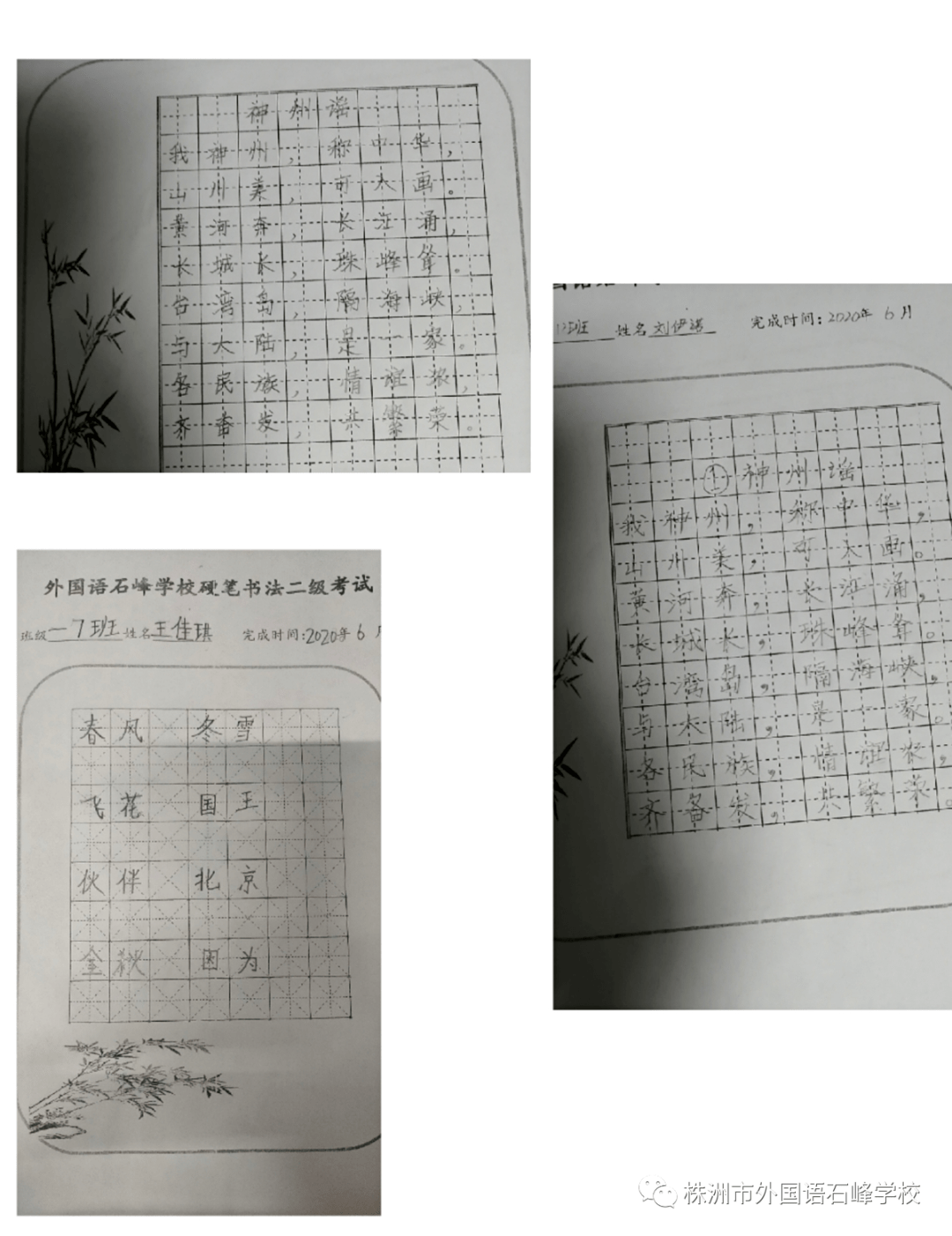 d6c88e56e38f4cb1b8cce66672347be3.png