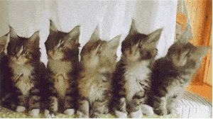 ed1df07d00254f65bfb944c7d5950054.gif
