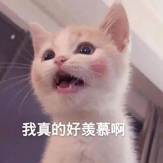 f19edd3cdcf34604b7ba6b53f31e3788.jpeg