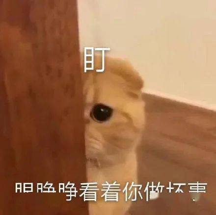 60b91c0de5824959902b6c5502f7f927.jpeg