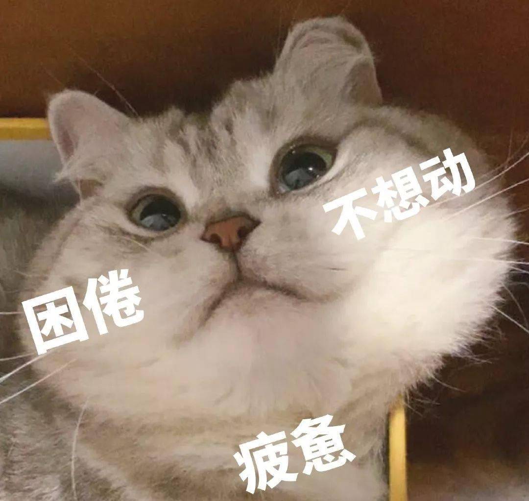 你在教我做事吗?