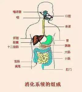 【徐水妇幼育儿宝典】妈妈为什么不让你喝碳酸饮料?看完你就懂了!