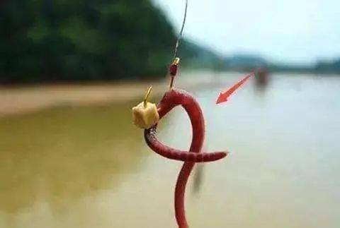 gdp为什么和水不成正比_预算和期望不成正比