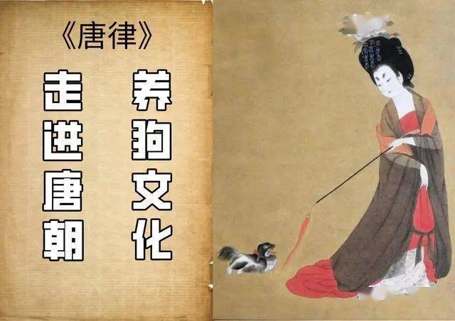 什么棺伦定成语_成语故事手抄报(3)