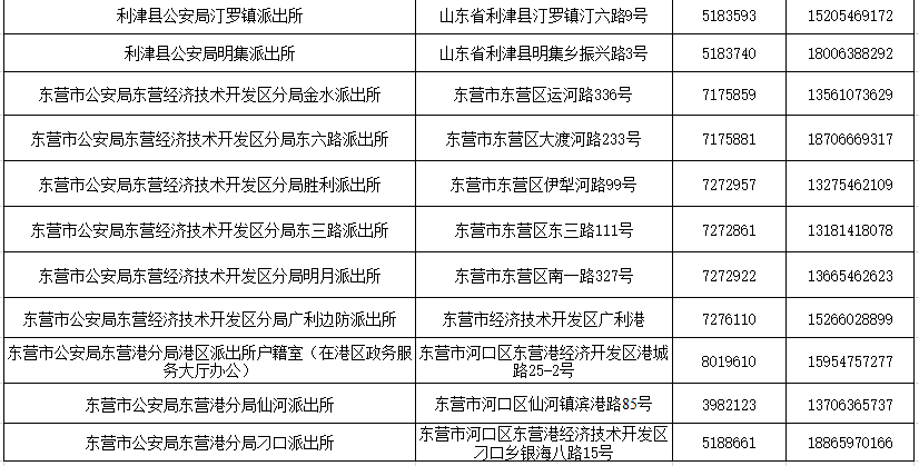 东营市最新人口普查_人口普查