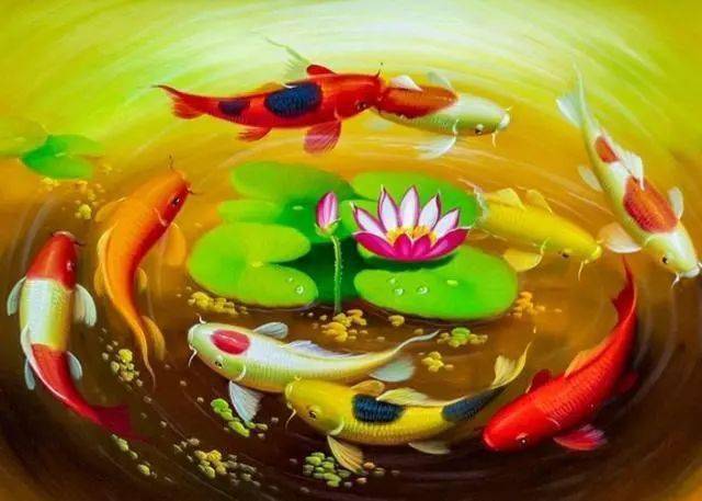 心理测试:4条锦鲤哪条能带给你财运,测你是不是天生富贵命?