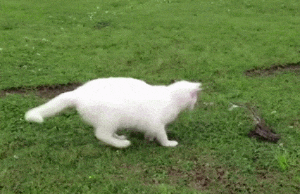 搞笑gif-哥们,游戏就别玩了,陪陪老婆吧!