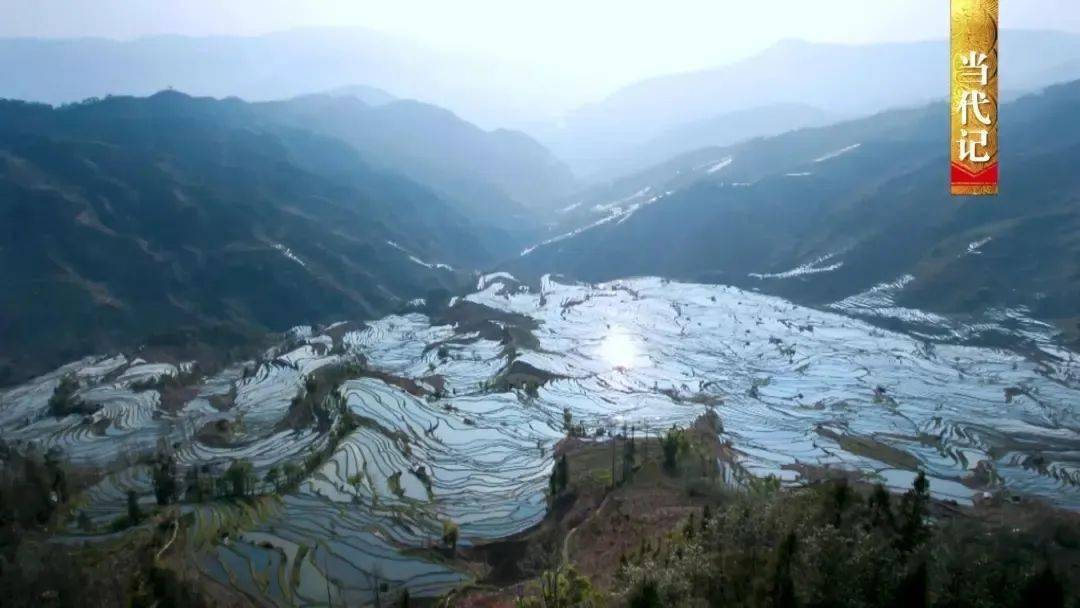 酉姓人口分布_人口普查(3)