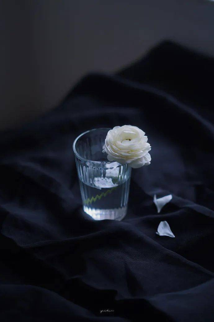 130张个性小众壁纸,超养眼,适合夏天!