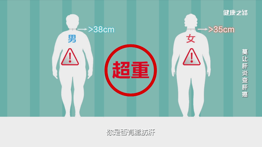 胖人和瘦人都应该警惕脂肪肝 较胖的人脂肪多,代谢速度慢,患脂肪肝